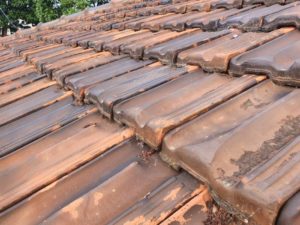 moss terracotta roof tiles